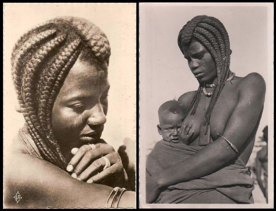 Modèles (TCHAD) / Models (CHAD)