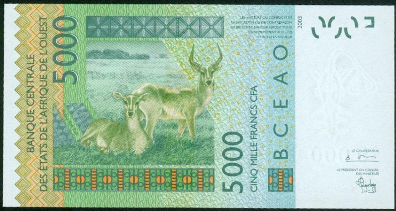 5000F Revers / Back